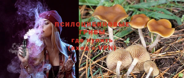 PSILOCYBIN Армянск