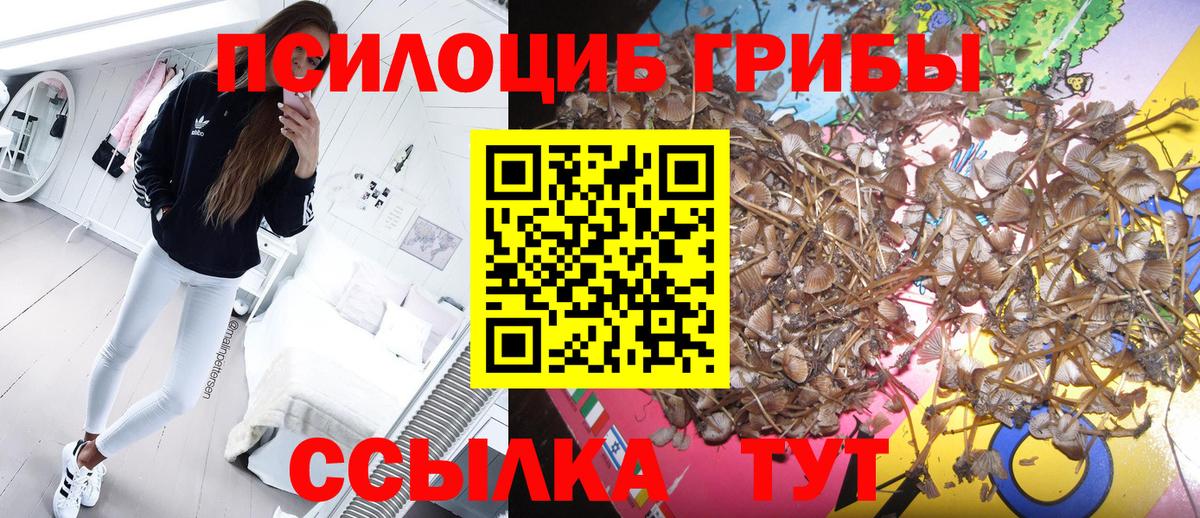 Псилоцибиновые грибы GOLDEN TEACHER  Псилоцибиновые грибы мухоморы  Вход с VPN  Белово 
