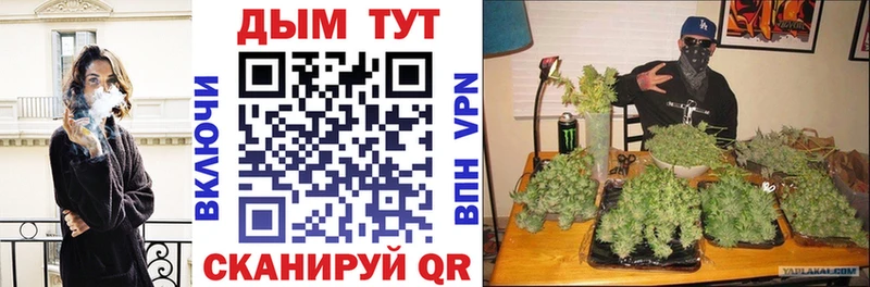 Канабис планчик  Белово 
